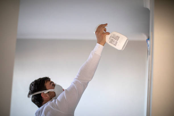 Certified Mold Removal in Moline, IL
