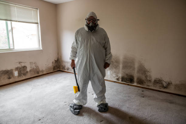 Best Crawl Space Mold Removal  in Moline, IL